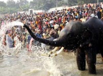 Sonpur Festival Bihar Tour