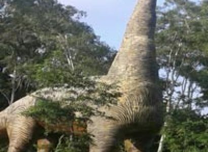 3 Nights Jharkhand Tour