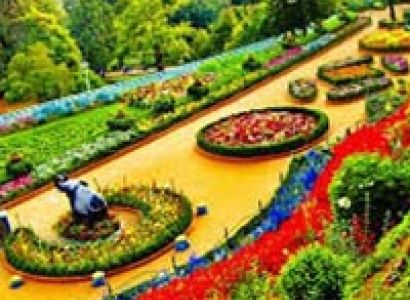 South Honeymoon 5 Days/ 4 Nights