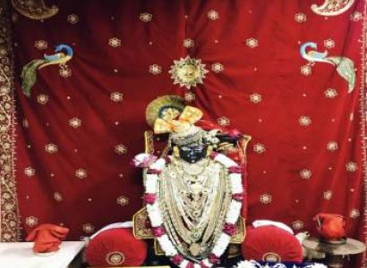 Shrinathji Darshan Tour Package