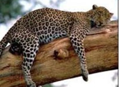 10 Days Best Of Northern Tanzania Tour