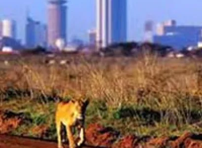 Cradle Of Mankind Tour