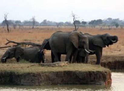 2 Days Mikumi National Park Tour