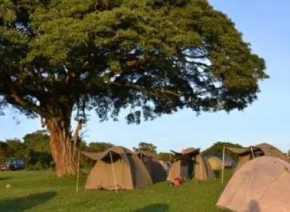 3D Lake Manyara - Ngorongoro - Serengeti Tour