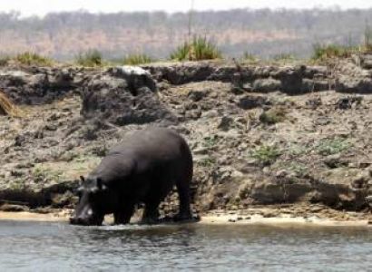 6 Days Selous - Ruaha Tour By Air