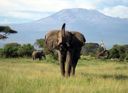 Hidden Treasure Of Tanzania 6 Days - 5 Nights Tour
