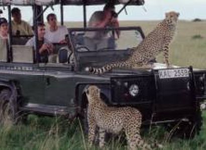 Best Of Kenya 10 Days - 9 Nights Tour