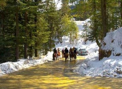 Shimla Calling Tour