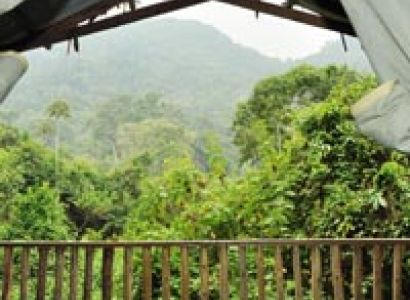 5 Days Rwanda Gorillas And Chimpanzee Tracking Tour