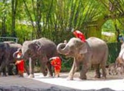 Simply Thailand Tour