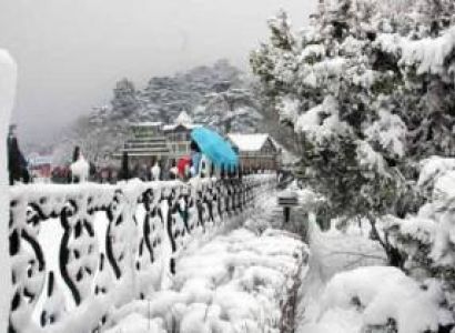 Himanchal Tour