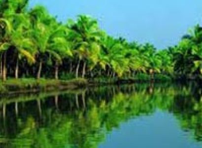 Short Escape to Wayanad Tour