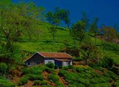 Colours of Kerala Tour