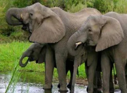 South Africa  9 Nights / 10 Days Tour