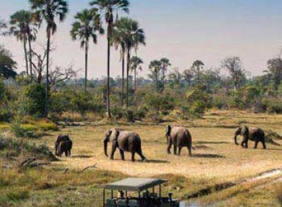 Cost of Botswana Budget Mobile Safari Tour