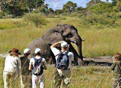 5 Nights Okavango Delta Tour