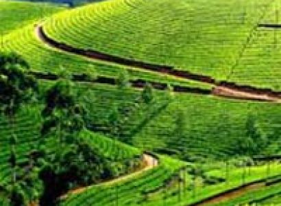 Misty Munnar Tour Package Tour