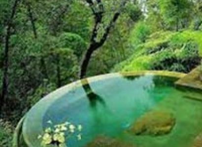 Short Tour of Wayanad