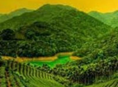 5 Day Kerala Houseboat Tour Alleppey