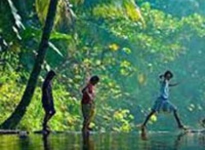 Best of Kerala with Tree house Stay Tour