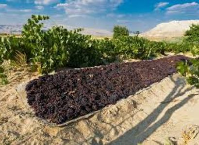 Black Sea and Batumi Tour Package from India