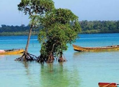 Andaman Tour 5 Day