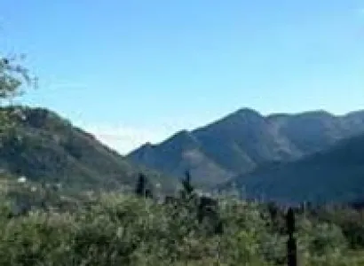 Paris With Disneyland Tour