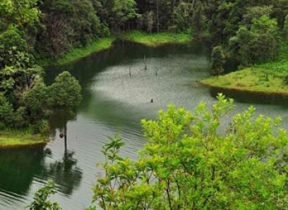 Coorg- Wayanad- Mysore Tour