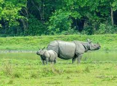 WILDLIFE SPECIAL TOUR