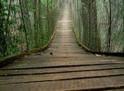 Beautiful Darjeeling Tour