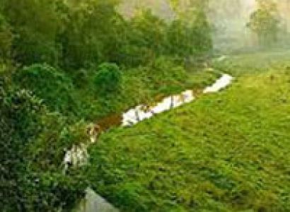 Mesmerizing Darjeeling Gangtok Tour