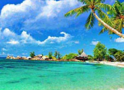 Romantic Goa Honeymoon Tour