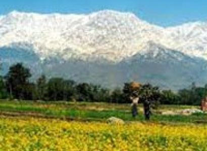 Silver Triangle Tour