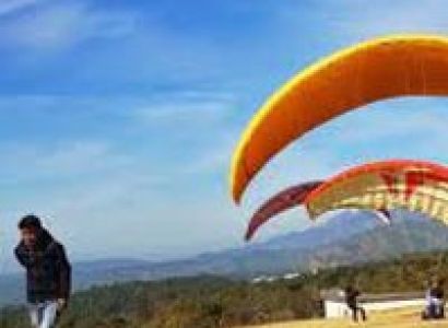 Bir Billing Paragliding Tour