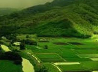 Southern Tour with Hills