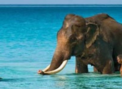 Refreshing Andaman Tour