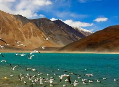 Jewels of Ladakh Tour