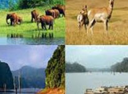 Short Escape to Periyar Tour