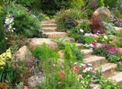 Himachal Temple Tour