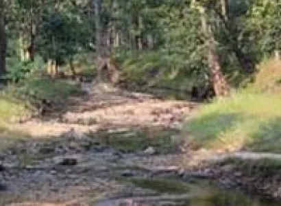 Pench National Park Tour