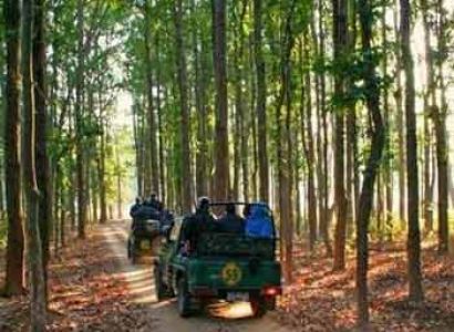 Pachmarhi 03 Days Tour For Couple & Family Pachmarhi Tour