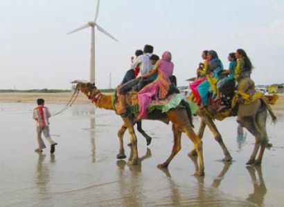 Gujarat Desert Beach Tour