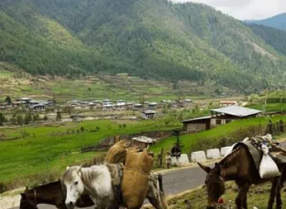 Package 4. Bhutan Package