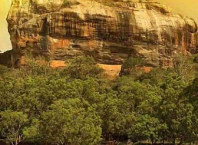 Holiday Plan Package