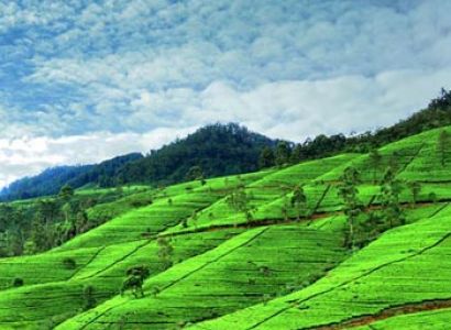 Holiday Plan Tour Package