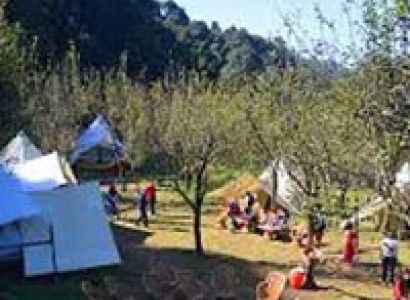 Paragliding and Camping in Bir-Billing Tour