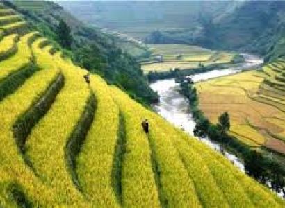 Nagaland Rural Tour Package