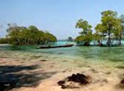 Discover Andaman With Neil Island Package