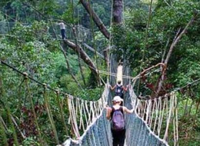 Taman Negara National Park Package