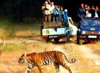 The Corbett view resource